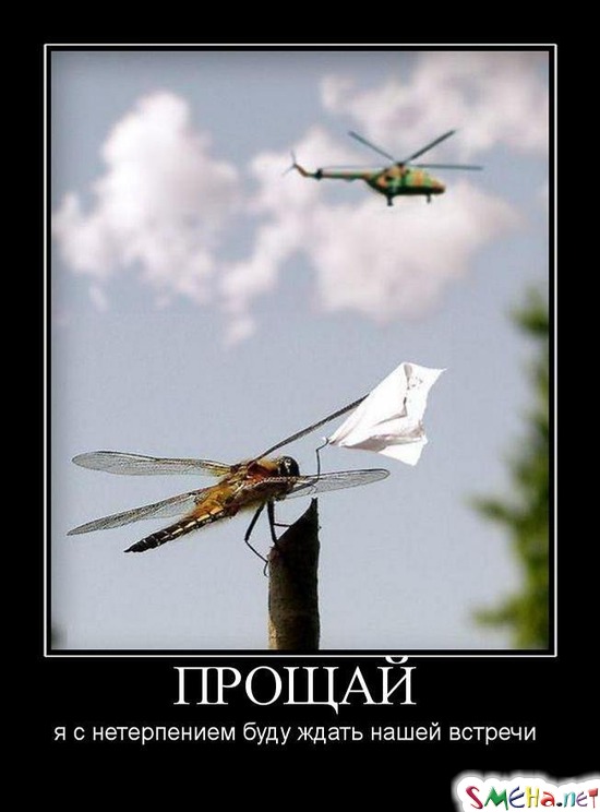 ПРОЩАЙ - я с нетерпением буду ждать нашей встречи