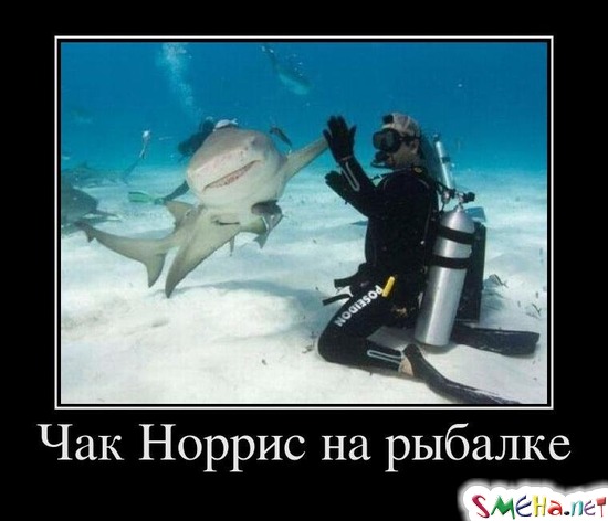 Чак Норрис на рыбалке