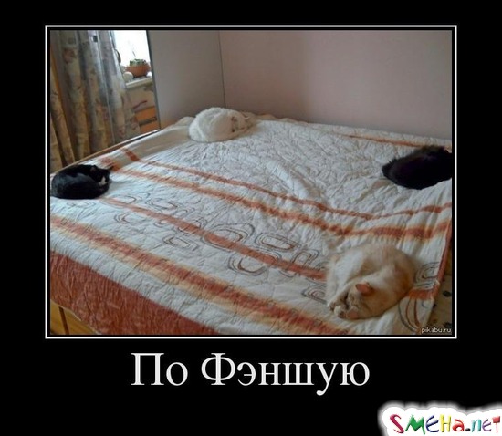 По Фэншую