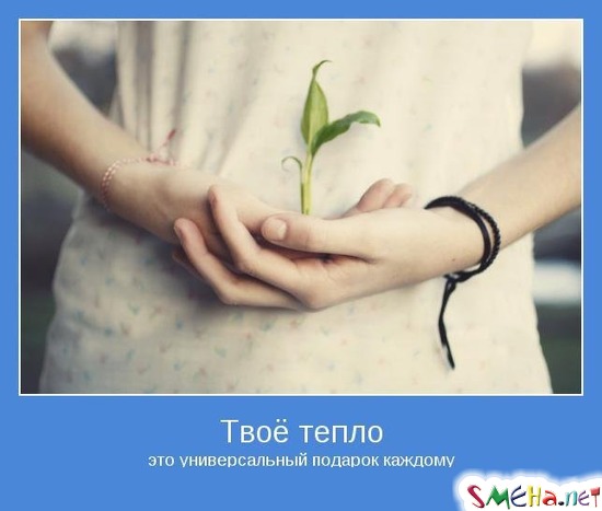 Твоё тепло - это универсальный подарок каждому