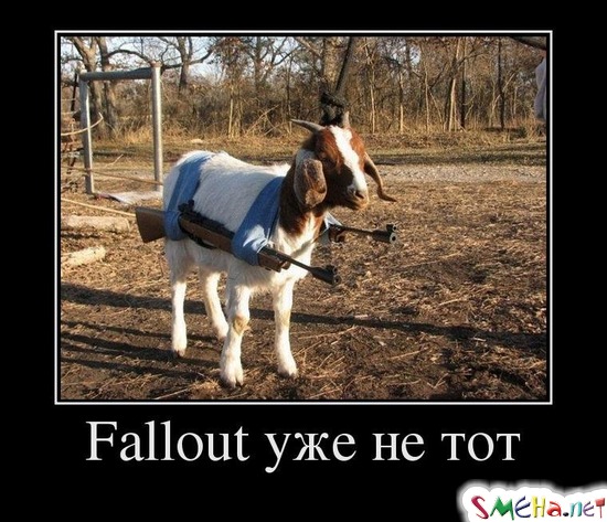 Fallout уже не тот