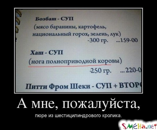 А мне, пожалуйста, пюре из шестицилиндрового кролика.