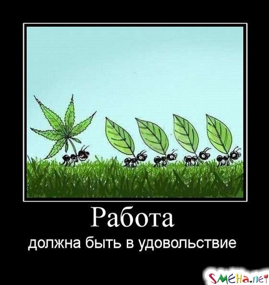 Работа должна быть в удовольствие