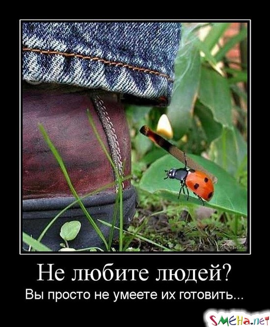 Не любите людей? - Вы просто не умеете их готовить