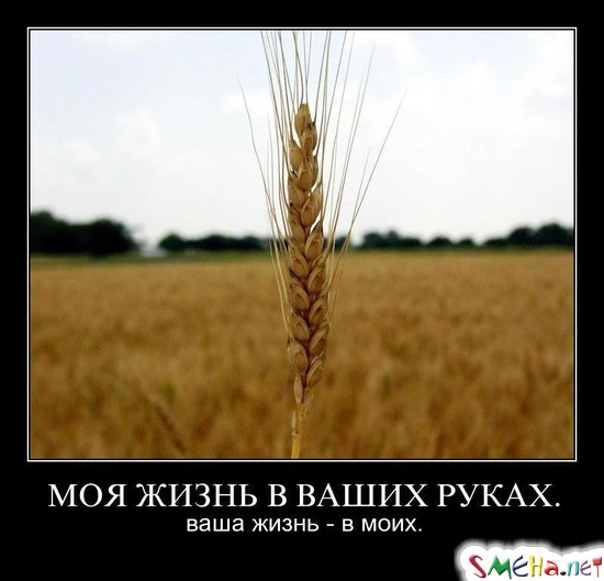 МОЯ ЖИЗНЬ В ВАШИХ РУКАХ. - ваша жизнь - в моих
