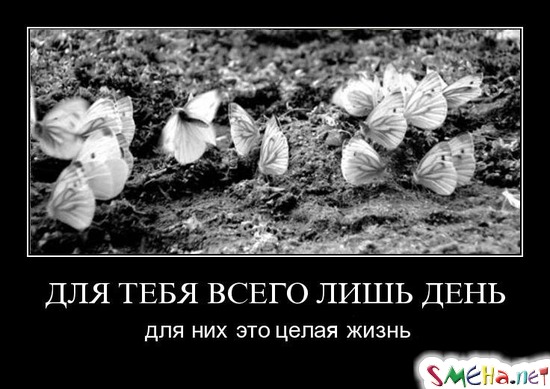 ДЛЯ ТЕБЯ ВСЕГО ЛИШЬ ДЕНЬ - для них это целая жизнь