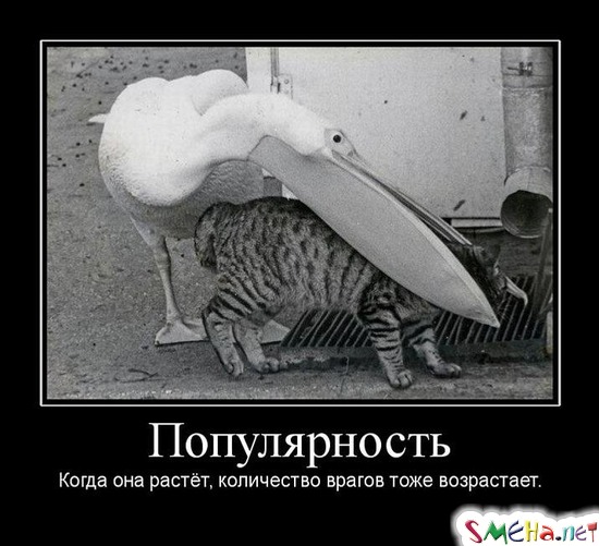 Популярность - Когда она растёт, количество врагов тоже возрастает