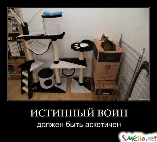 ИСТИННЫЙ ВОИН - должен быть аскетичен