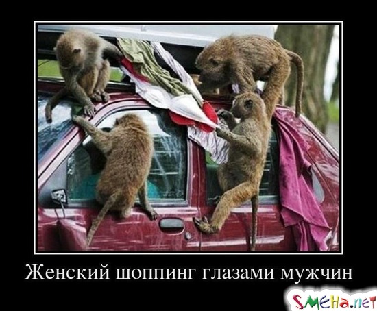 Женский шоппинг глазами мужчин