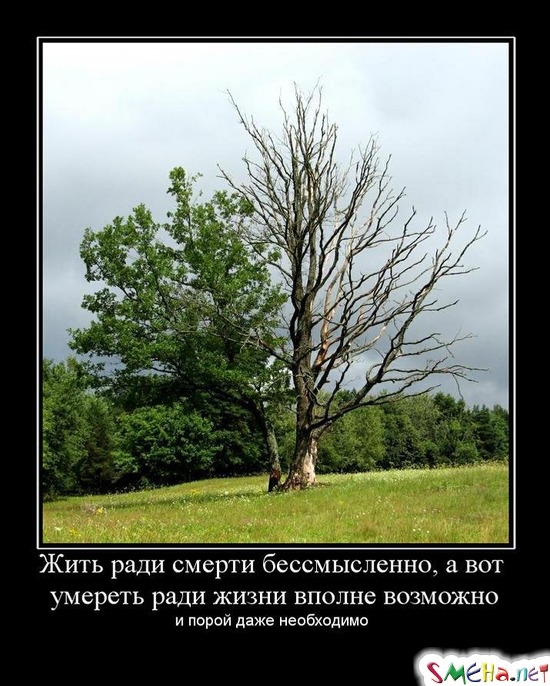 Жить ради смерти бессмысленно, а вот умереть ради жизни вполне возможно - и порой даже необходимо
