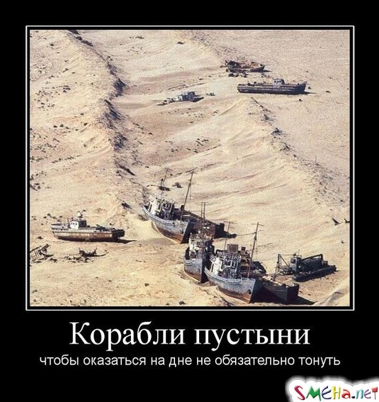 Корабли пустыни - чтобы оказаться на дне не обязательно тонуть