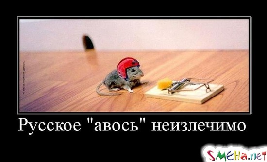 Русское авось неизлечимо