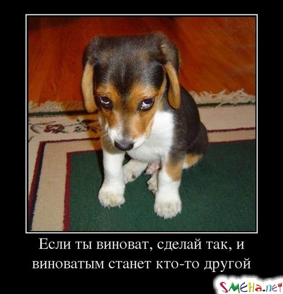 Если ты виноват, сделай так, и виноватым станет кто-то другой