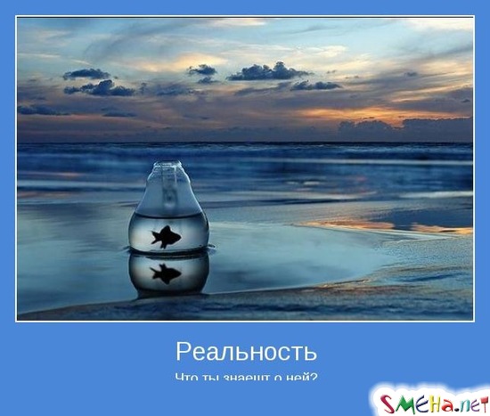 Реальность - Что ты знаешт о ней?