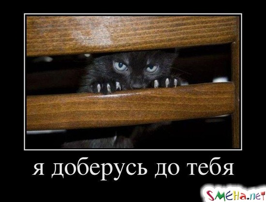 я доберусь до тебя