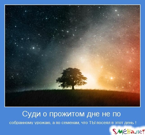 Суди о прожитом дне не по собранному урожаю, а по семенам, что ТЫ посеял в этот день!