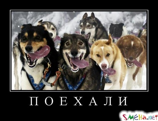 ПОЕХАЛИ
