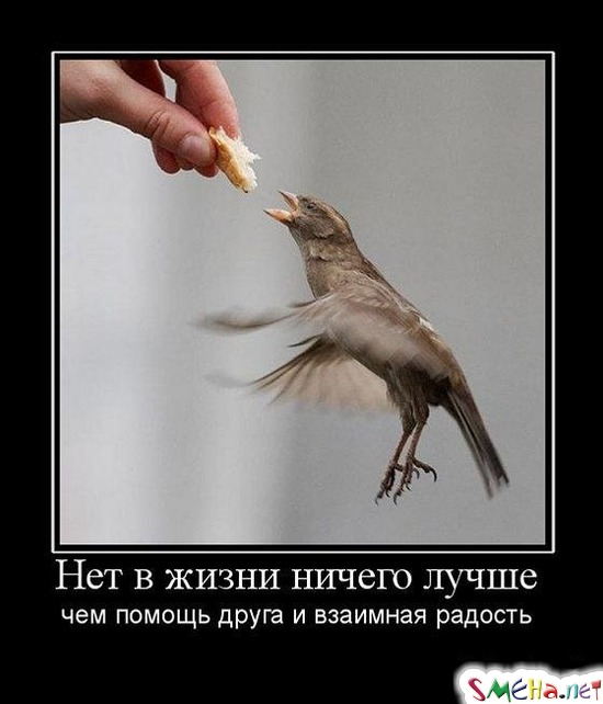 Нет в жизни ничего лучшем - чем помощь друга и взаимная радость