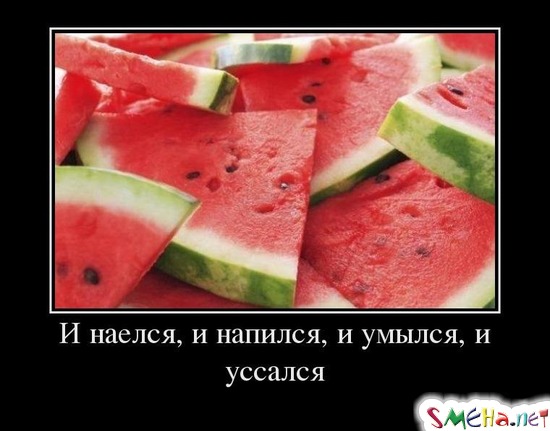 И наелся, и напился, и умылся, и уссался