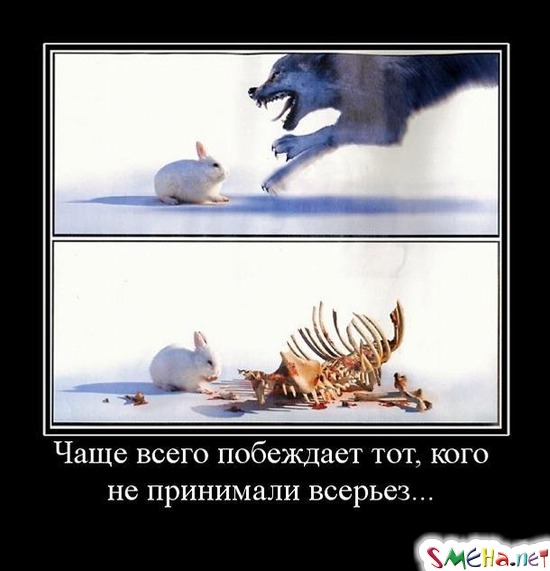 Чаще всего побеждает тот, кого не принимали всерьез...