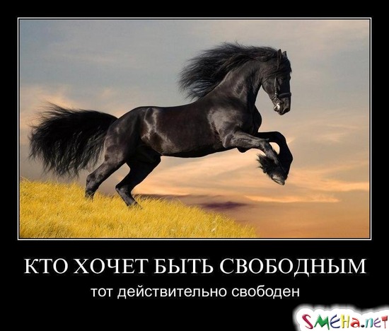 КТО ХОЧЕТ БЫТЬ СВОБОДНЫМ - тот действительно свободен