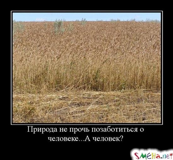 Природа не прочь позаботиться о человеке... - А человек?