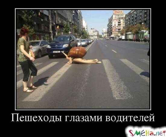 Пешеходы глазами водителей