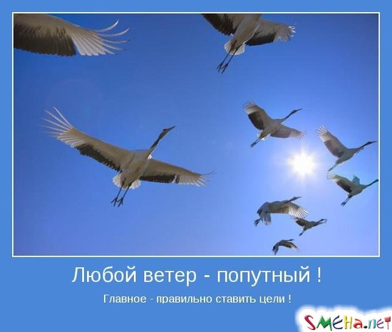 Любой ветер - попутный ! - Главное правильно ставить цели!