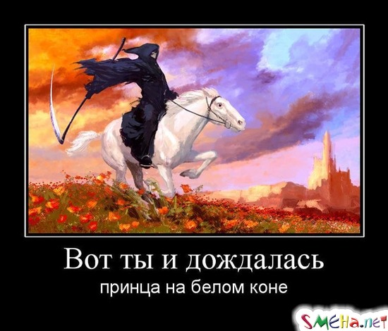 Вот ты и дождалась - принца на белом коне