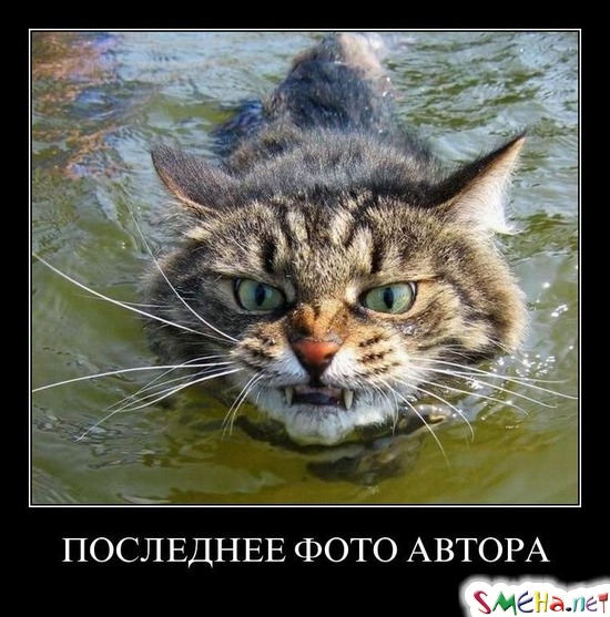 ПОСЛЕДНЕЕ ФОТО АВТОРА