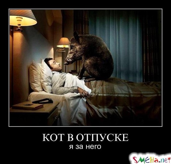 КОТ В ОТПУСКЕ - я за него
