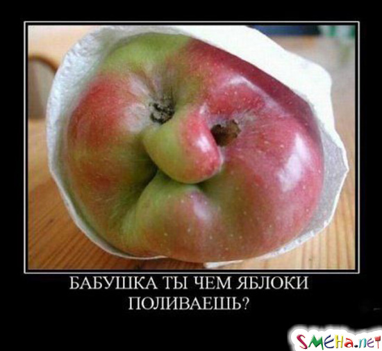 Бабушка, ты чем яблочки поливаешь?