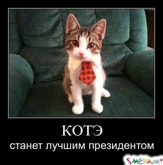 КОТЭ - станет лучшим президентом