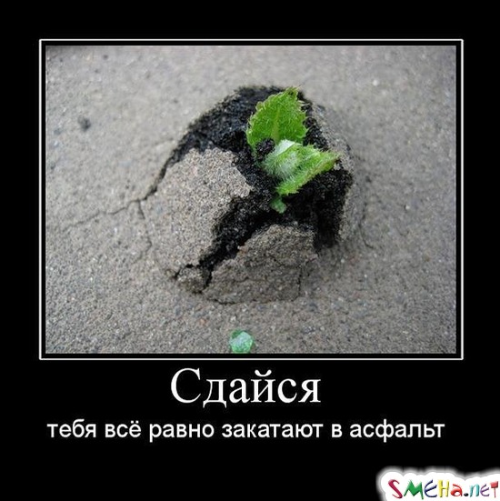 Сдайся - тебя всё равно закатают в асфальт