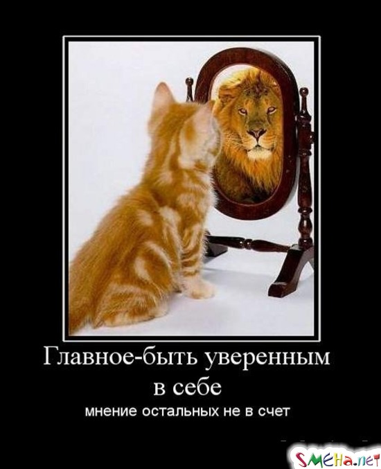 Главное-быть уверенным в себе - мнение остальных не в счет