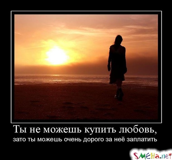 Ты не можешь купить любовь, - зато ты можешь очень дорого за неё заплатить