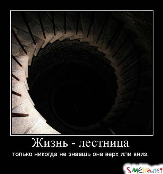 Жизнь - лестница только никогда не знаешь она верх или вниз.
