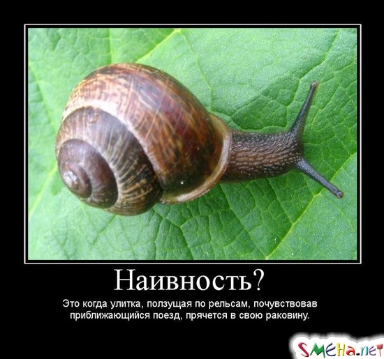 Наивность? - Это когда улитка, ползущая по рельсам, почувствовав приближающийся поезд, прячется в свою раковину.