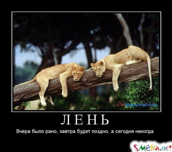 ЛЕНЬ - Вчера было рано, завтра будет поздно, а сегодня некогда