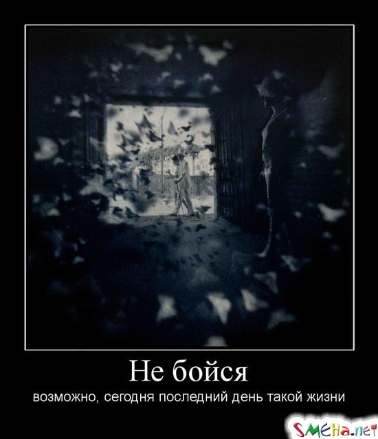 Не бойся - возможно, сегодня последний день такой жизни
