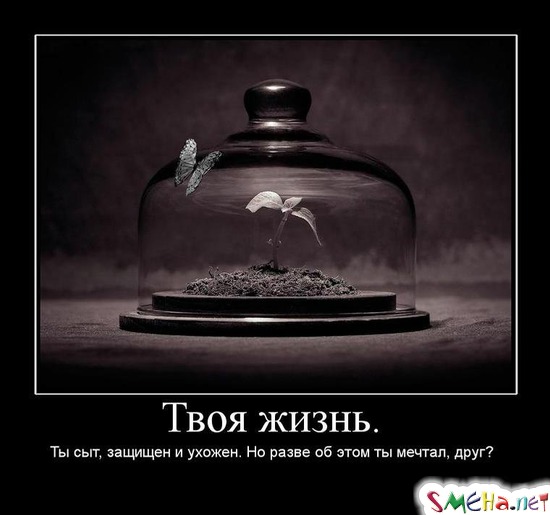Твоя жизнь. - Ты сыт, защищен и ухожен. Но разве об этом ты мечтал, друг?