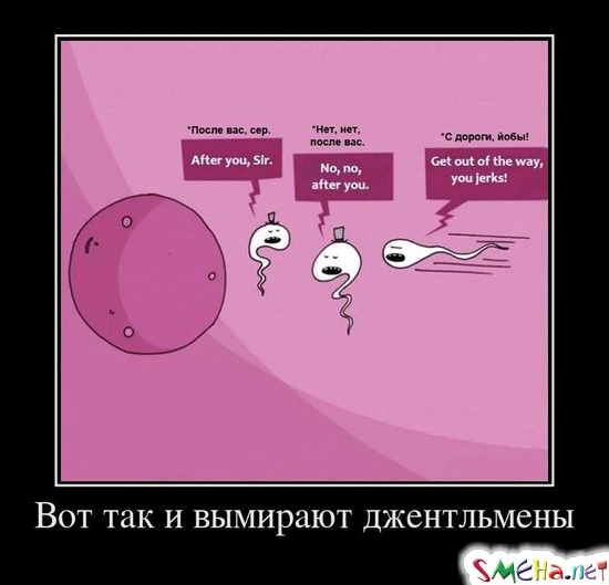 Вот так и вымирают джентльмены
