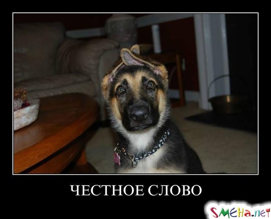 ЧЕСТНОЕ СЛОВО