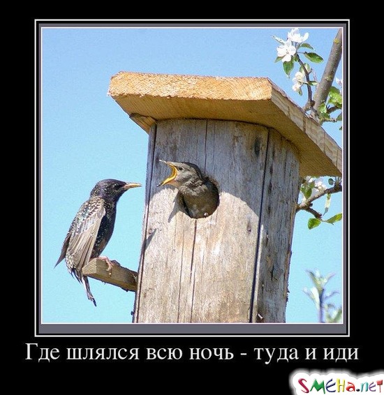 Где шлялся всю ночь - туда и иди