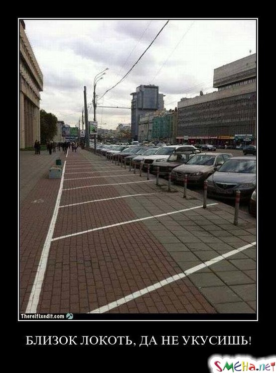 БЛИЗОК ЛОКОТЬ, ДА НЕ УКУСИШЬ!
