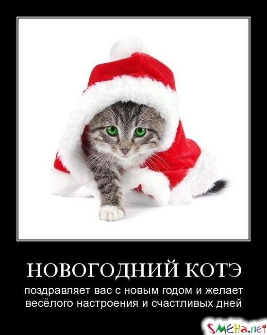 НОВОГОДНИЙ КОТЭ - поздравляет вас с новым годом и желает весёлого настроения и счастливых дней