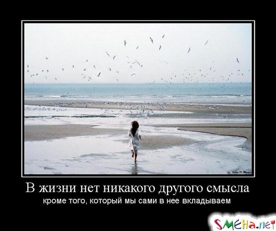 В жизни нет никакого другого смысла кроме того, который мы сами в него вкладываем