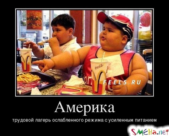 Америка - трудовой лагерь ослабленного режима с усиленным питанием