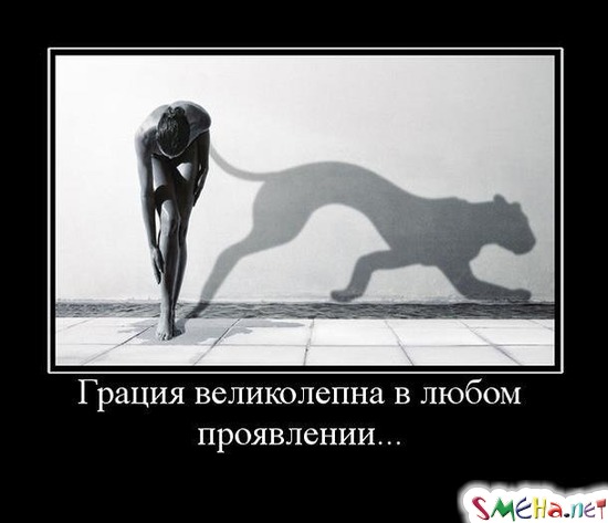 Грация великолепна в любом проявлении...