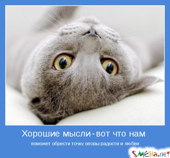 Хорошие мысли - вот что нам поможет обрести точку опоры радости и любви
